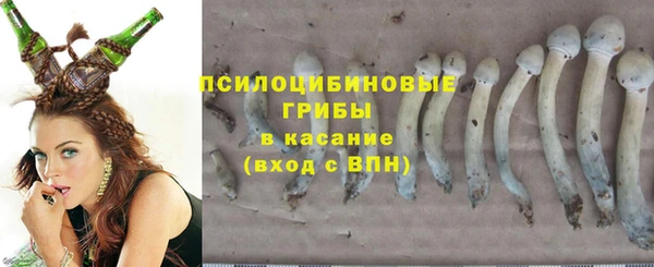spice Верея