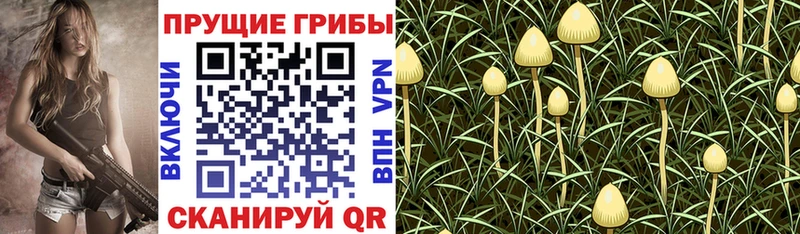 Галлюциногенные грибы GOLDEN TEACHER  Завитинск 