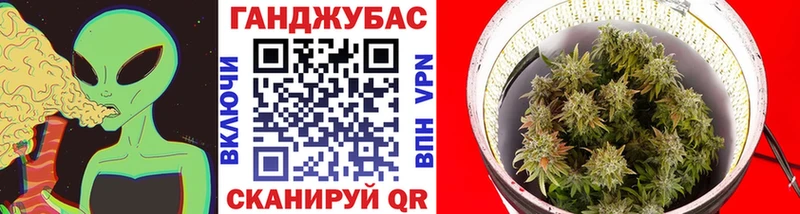как найти наркотики Завитинск blacksprut вход Шишки марихуана тримм